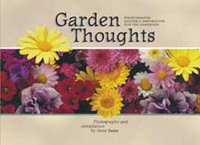 Garden Thoughts